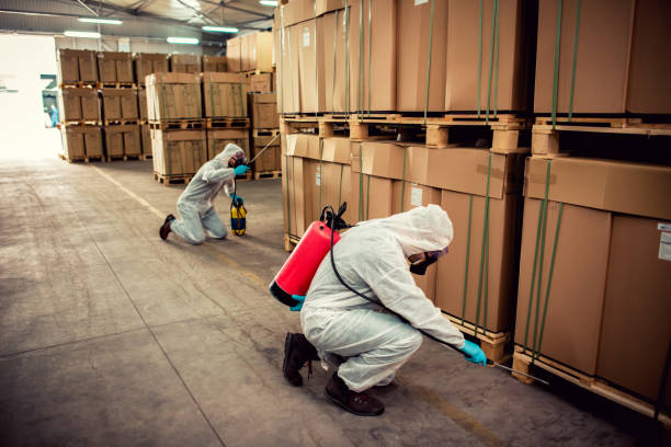 Best Local Pest Control Services  in Pismo Beach, CA