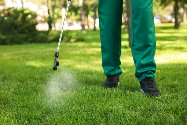 Reliable Pismo Beach, CA Pest Control Solutions