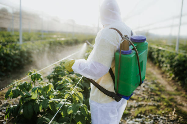 Best Cockroach Control Services  in Pismo Beach, CA